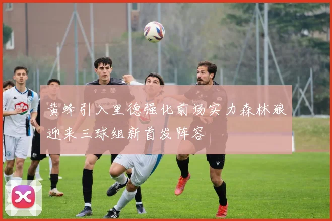 黄蜂引入里德强化前场实力森林狼迎来三球组新首发阵容